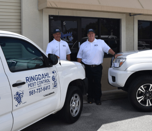 Commerical Pest Control in Boynton Beach: Protecting Your Business