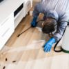 Eco-Friendly Pest Control Service Is The Best Way To Protect Your Family