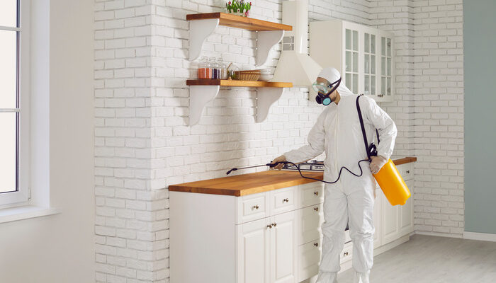 Pest control worker spraying poison to get rid of termites or cockroaches in the kitchen as yearly pest control program