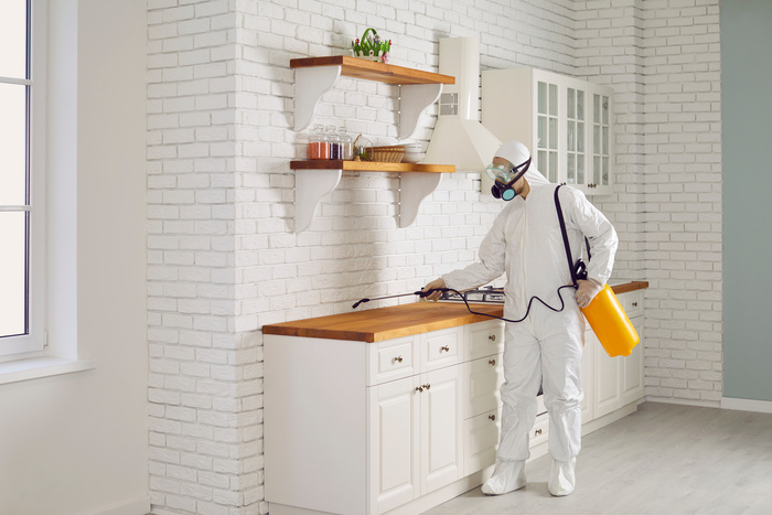 The Advantages of a Yearly Pest Control Program