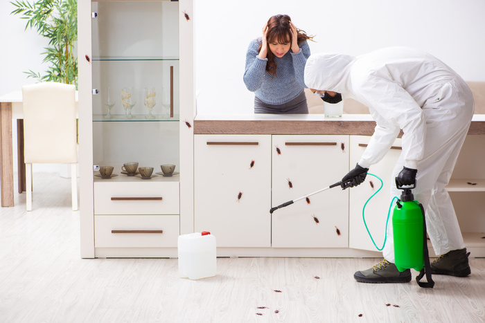 Protect Your Home from Pests with Ringdahl Pest Control in Boynton Beach, FL