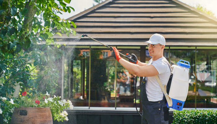 Pest Control Expert spraying plants at garden with pest control chemicals