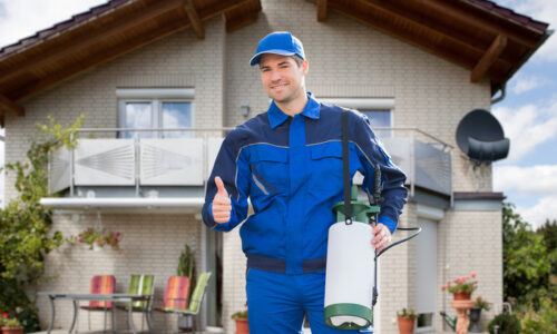 Pest Management Services in Boynton Beach: Protecting Your Home with Eco-Friendly Solutions