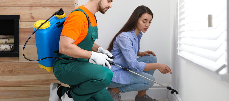 Woman showing insect traces to pest control worker at home during once a year pest control service