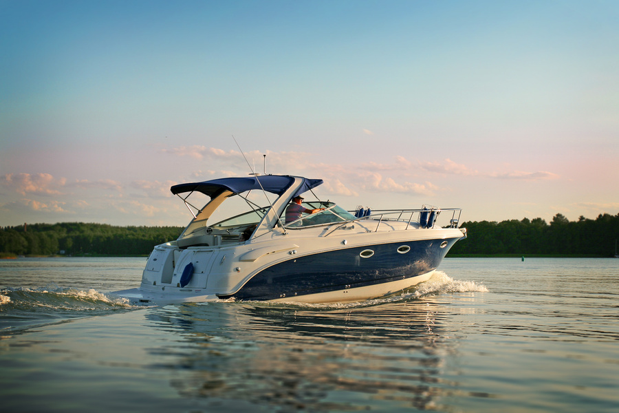 Why Regular Pest Inspections Are Critical for Boat and Yacht Owners