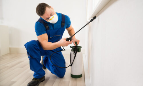 The Benefits of Regular Pest Control Services for South Florida Homes