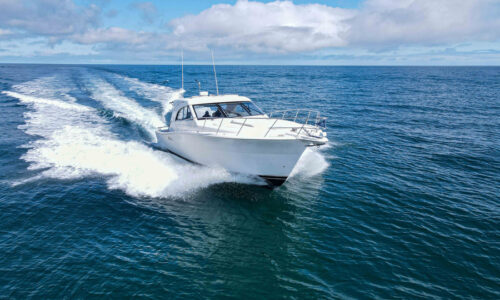 Marine Pest Control in Florida: Complete Guide to Protect Your Boat and Yacht from Pests