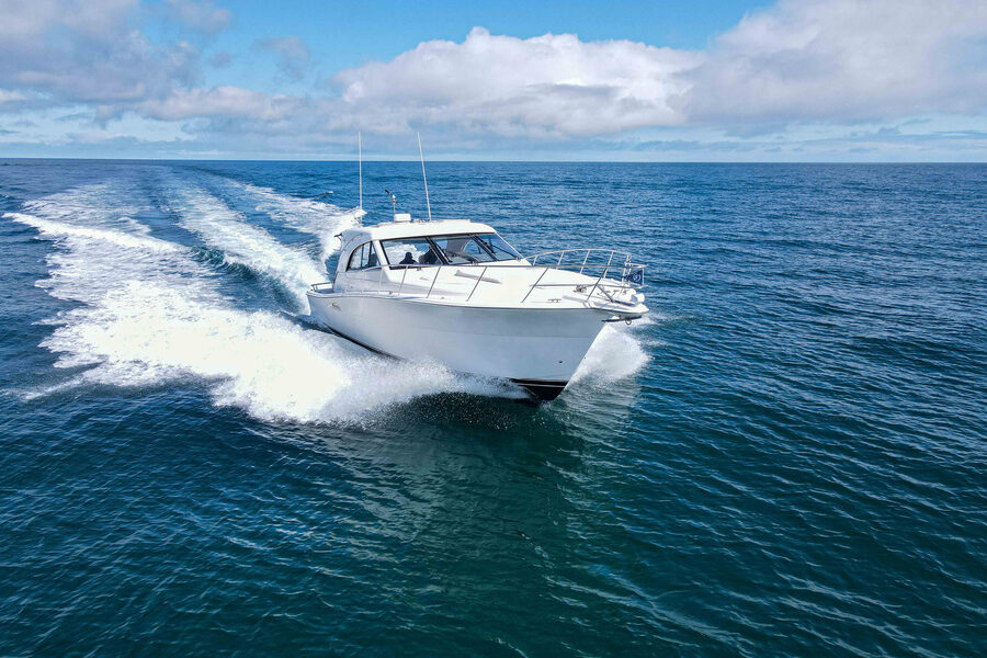 Marine Pest Control in Florida: Complete Guide to Protect Your Boat and Yacht from Pests