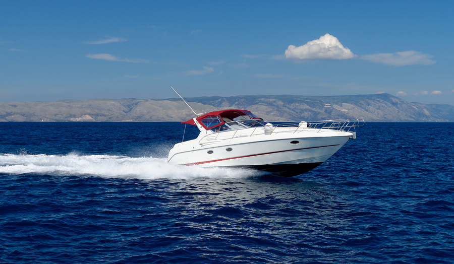 How Marine Pests Can Damage Electrical and Plumbing on Your Boat in Florida