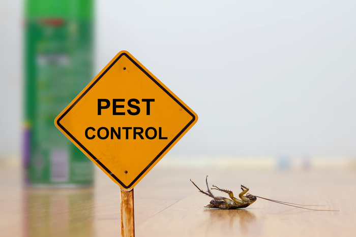 Protecting Your Home and Family with Eco-Friendly Pest Control Solutions