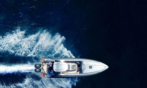 Top Marine Pests Threatening Boats and Docks in Florida