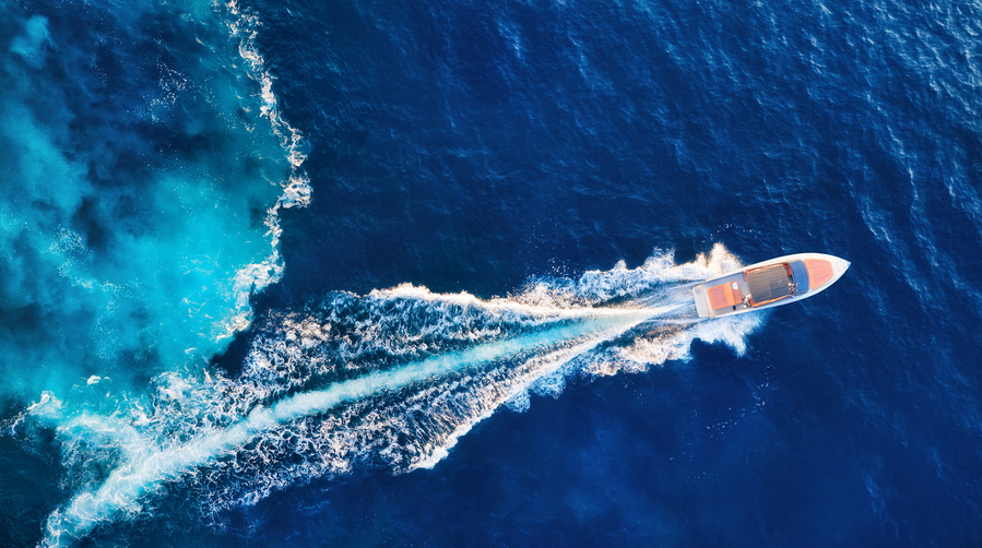 Don't Let Pests Ruin Your Vessel: Our Tips for Marine Pest Prevention and Elimination