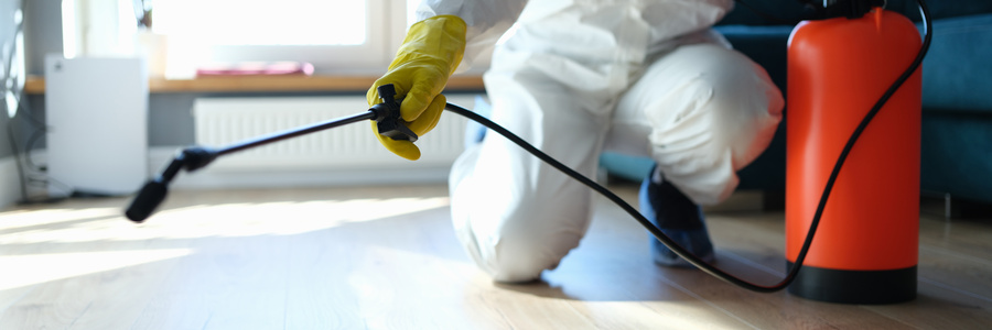 Custom Pest Control Plans in Boynton Beach: Why One-Size-Fits-All Treatments Fail