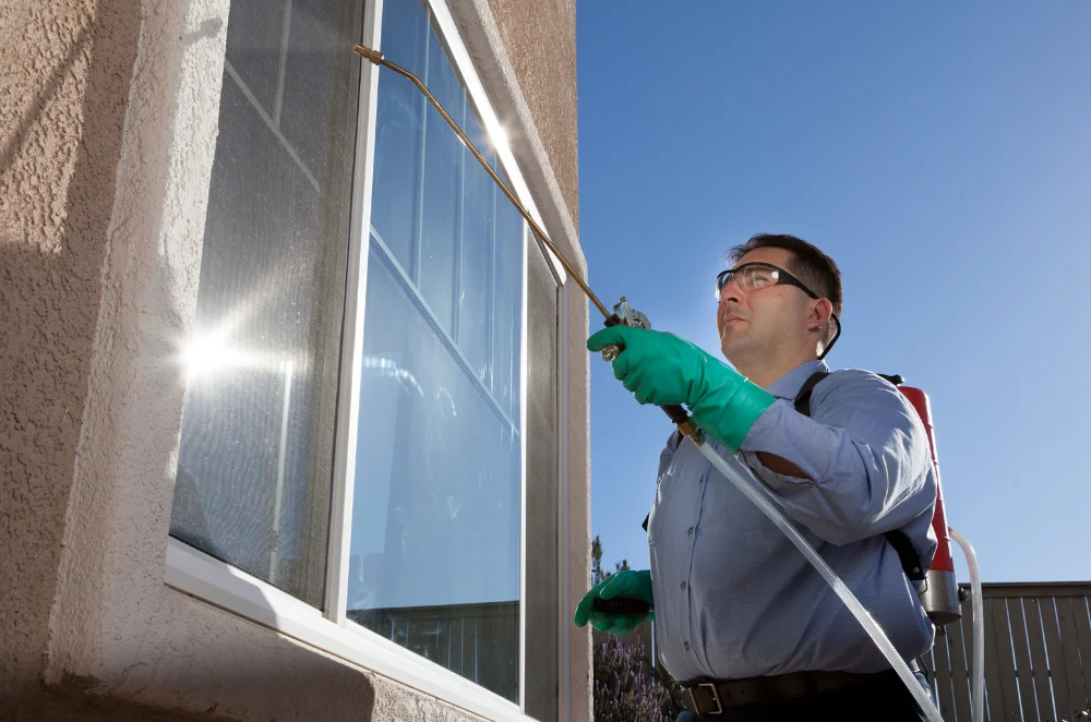 Residential Pest Control - Ringdahl Pest Control Residential Pest Control Services Boynton Beach, Florida