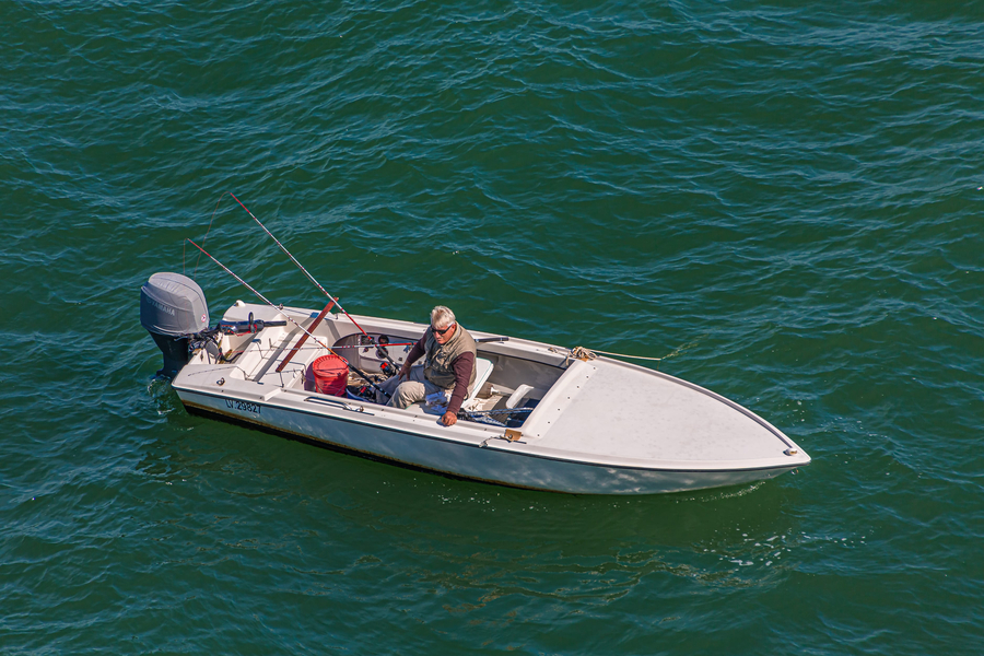 The Best Time of Year for Marine Pest Control in Florida