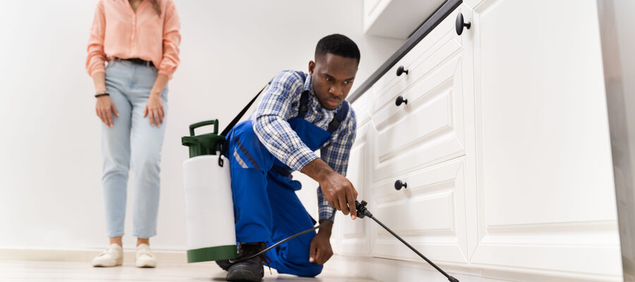 Pest control expert spraying insecticide